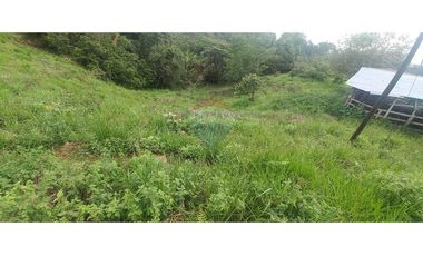 Finca en Venta en Tolima Armero