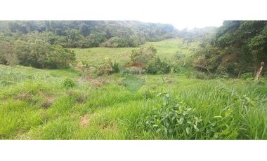 Finca en Venta en Tolima Armero