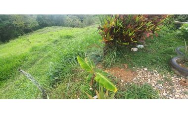 Finca en Venta en Tolima Armero