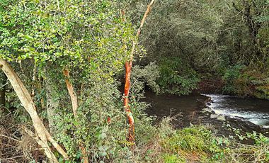 Cabaña en Via del Huichatio, sector Playa Linda, Camino Villarrica -Pucón
