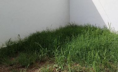 🏠 Casa moderna en renta en El Mayorazgo – 3 recámaras con baño y jardín 🌿