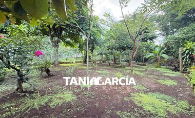 Vendo Casa con 525 m2 de terreno en Fortín.