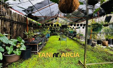 Vendo Finca de 2,400 m2 de terreno con casa estilo mexicana en Fortín.