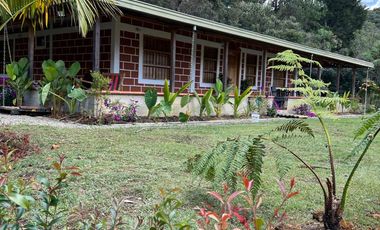 Finca en venta – Vereda Alto de la Virgen, Rionegro / Guarne (Antioquia)