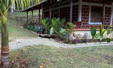 Finca en venta – Vereda Alto de la Virgen, Rionegro / Guarne (Antioquia)