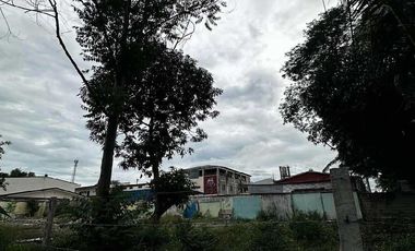 Yap Park Road 898 sqm Corner Lot for Sale in Dau Mabalacat Pampanga