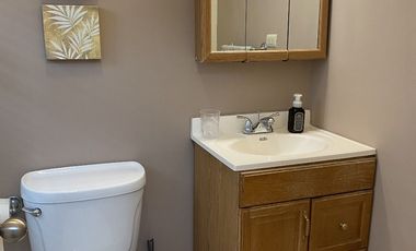 CASAEN VENTA EN SECTROR CAMPOS ELISEOS