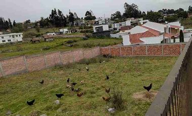 TERRENO EN VENTA - CHALLUABAMBA