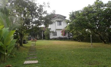 FOR SALE VILLA LANGKAH NEAR BEACH NEAR BEACH CLUB CANGGU TERNAMA DI BRAWA