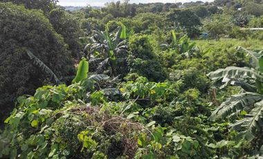 10.5 Hectares Lot in Antipolo