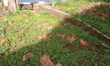 Di jual cepat villa di Jogjogan, Cisarua kab. Bogor. Dekat dgn taman wisata curug cilember, NEGO