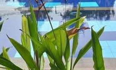 Emerald Terrace Cluster dekat Tol Jatiasih dengan fasilitas lengkap, bebas banjir, dan harga terjangkau