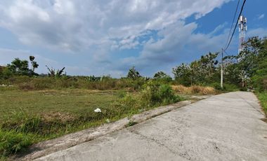 Di Jual Rumah Jogja Siap Bangun Taman Bunga Purworejo ,Strategis Dekat Deandels (JLS)