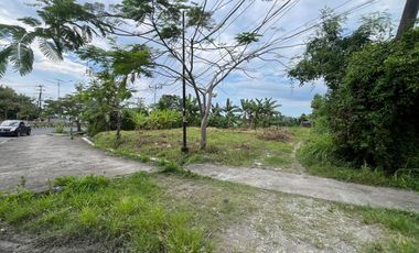 Tanah di pinggir jalan lingkar selatan