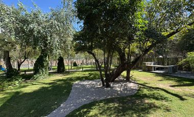 SE RENTA DEPARTAMENTO 3 RECAMARAS ARBOLEDAS DE ZAVALETA