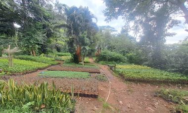 Dijual cepat murah tanah dan kebun bunga di bogor strategis SHM