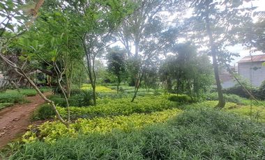 Dijual cepat murah tanah dan kebun bunga di bogor strategis SHM