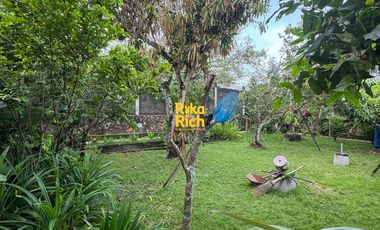 RUMAH MURAH SATU LANTAI TANAH LUAS DI PALAGAN JOGJA HARGA BOLEH BANDINGKAN