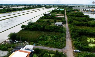 ขายที่ดินถูกราคาเกินคุ้ม !! ที่ดิน 4 แปลงใหญ่ 241.6 ตร.วา ทำเลหนองจอกคลองสิบ เหมาะลงทุนซื้อเก็บเกร็งกำไรหรือสร้างบ้านอยู่เอง !!