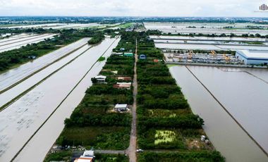 ขายที่ดินถูกราคาเกินคุ้ม !! ที่ดิน 4 แปลงใหญ่ 241.6 ตร.วา ทำเลหนองจอกคลองสิบ เหมาะลงทุนซื้อเก็บเกร็งกำไรหรือสร้างบ้านอยู่เอง !!