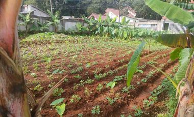 Tanah aktif cocok untuk kontrakan dan Cluster dengan pemandangan gunung salak