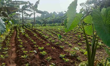 Tanah aktif cocok untuk kontrakan dan Cluster dengan pemandangan gunung salak