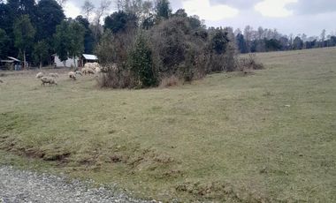 Parcelas en el Lago Colico, Cunco. Posibilidad de Crédito Directo