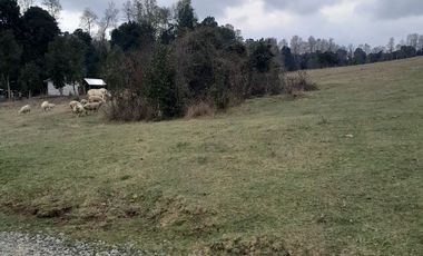 Parcelas en el Lago Colico, Cunco. Posibilidad de Crédito Directo