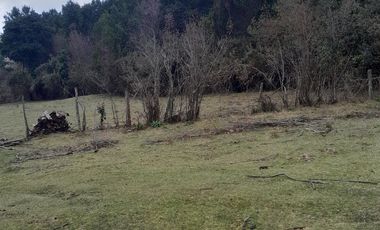 Parcelas en el Lago Colico, Cunco. Posibilidad de Crédito Directo
