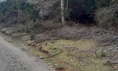 Parcelas en el Lago Colico, Cunco. Posibilidad de Crédito Directo