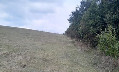 Parcelas en el Lago Colico, Cunco. Posibilidad de Crédito Directo