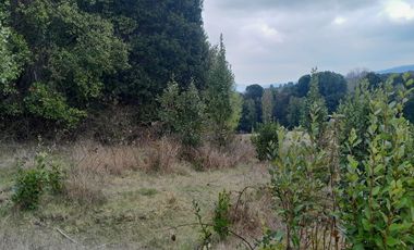 Parcelas en el Lago Colico, Cunco. Posibilidad de Crédito Directo