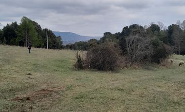 Parcelas en el Lago Colico, Cunco. Posibilidad de Crédito Directo