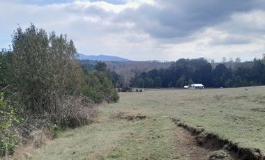 Parcelas en el Lago Colico, Cunco. Posibilidad de Crédito Directo