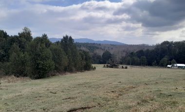 Parcelas en el Lago Colico, Cunco. Posibilidad de Crédito Directo