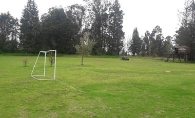 VENTA QUINTA, SECTOR TABABELA 1200.000