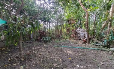 CASA EN VENTA EN CANDELARIA