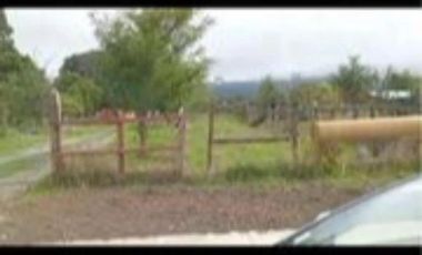 TERRENO URBANO DE 1,14 HÁ. EN REUMEN COMUNA PAILLACO