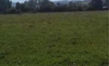 TERRENO URBANO DE 1,14 HÁ. EN REUMEN COMUNA PAILLACO