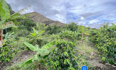 Se vende amplio terreno con dos casas en Landangui-Malacatos