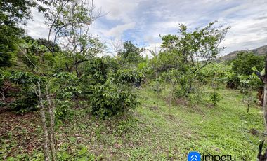 Se vende amplio terreno con dos casas en Landangui-Malacatos