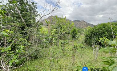 Se vende amplio terreno con dos casas en Landangui-Malacatos