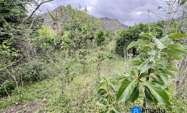 Se vende amplio terreno con dos casas en Landangui-Malacatos