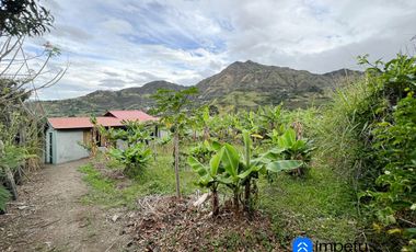 Se vende amplio terreno con dos casas en Landangui-Malacatos