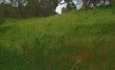 Hermosa y tranquila parcela de más de 8 mil mts2 en VENTA - Ninhue