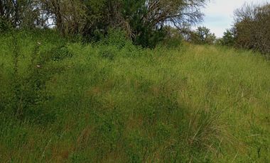 Hermosa y tranquila parcela de más de 8 mil mts2 en VENTA - Ninhue