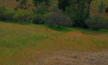 Hermosa y tranquila parcela de más de 8 mil mts2 en VENTA - Ninhue