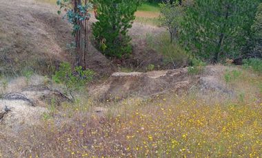 Hermosa y tranquila parcela de más de 8 mil mts2 en VENTA - Ninhue