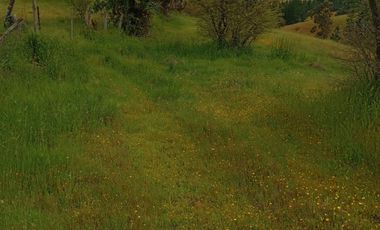 Hermosa y tranquila parcela de más de 8 mil mts2 en VENTA - Ninhue