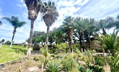 Salón de Eventos en venta, San Agustín, Tlajomulco de Zúñiga.